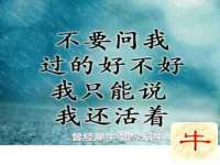 宿迁杰中商贸有限公司