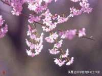 宿迁杰中商贸有限公司