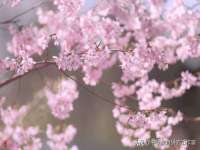 宿迁杰中商贸有限公司