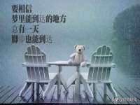 宿迁杰中商贸有限公司