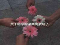 宿迁杰中商贸有限公司