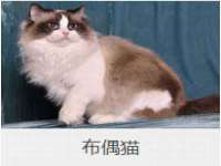 宿迁杰中商贸有限公司