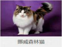 宿迁杰中商贸有限公司