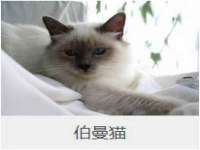 宿迁杰中商贸有限公司