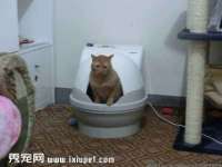 宿迁杰中商贸有限公司