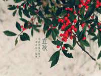 宿迁杰中商贸有限公司