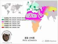 宿迁杰中商贸有限公司