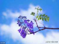 宿迁杰中商贸有限公司