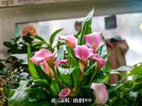 宿迁杰中商贸有限公司