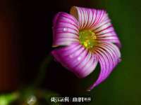 宿迁杰中商贸有限公司