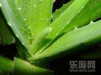 宿迁杰中商贸有限公司