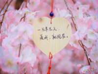 宿迁杰中商贸有限公司