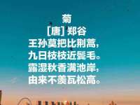 宿迁杰中商贸有限公司