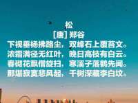 宿迁杰中商贸有限公司