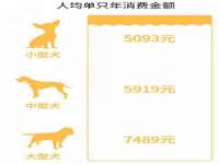 宿迁杰中商贸有限公司