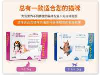 宿迁杰中商贸有限公司