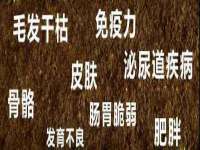 宿迁杰中商贸有限公司