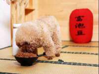宿迁杰中商贸有限公司