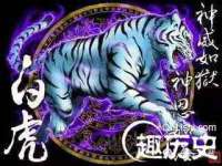 宿迁杰中商贸有限公司