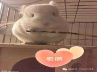 宿迁杰中商贸有限公司