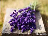 宿迁杰中商贸有限公司