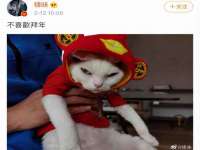 宿迁杰中商贸有限公司