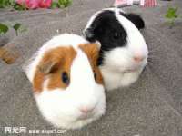 宿迁杰中商贸有限公司