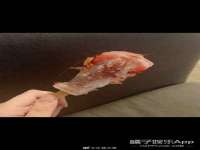 宿迁杰中商贸有限公司